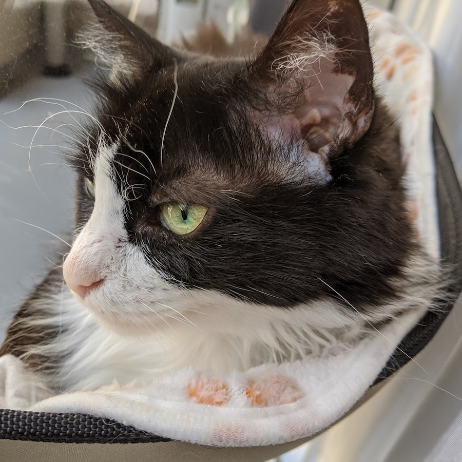 ゆかりかわいいフォト