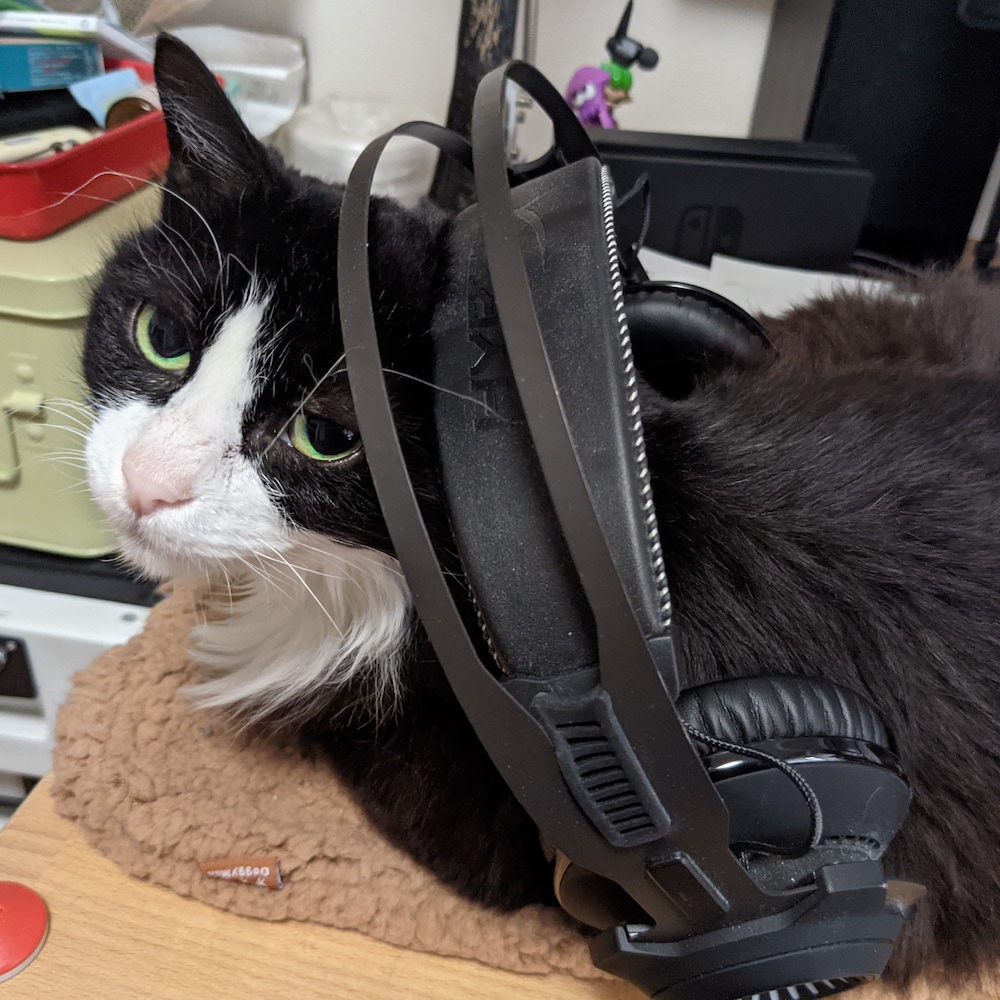 かいぬしにヘッドホンスタンドにされてしまったゆかり