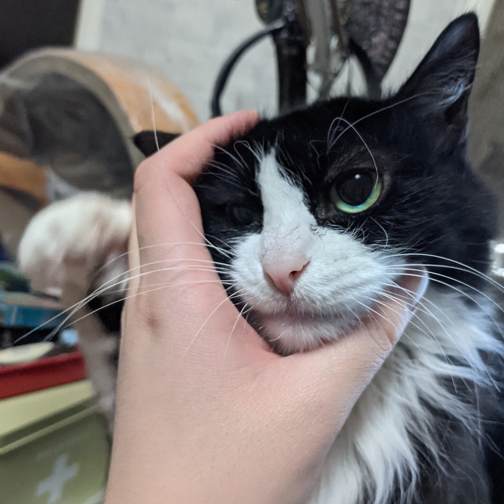 わっしと掴まれ やめ ってしているゆかり