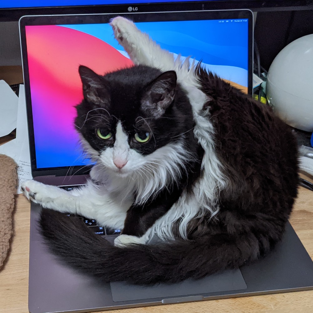 ここ暖かいしかいぬしが困るしお得な場所なのよしてるゆかり