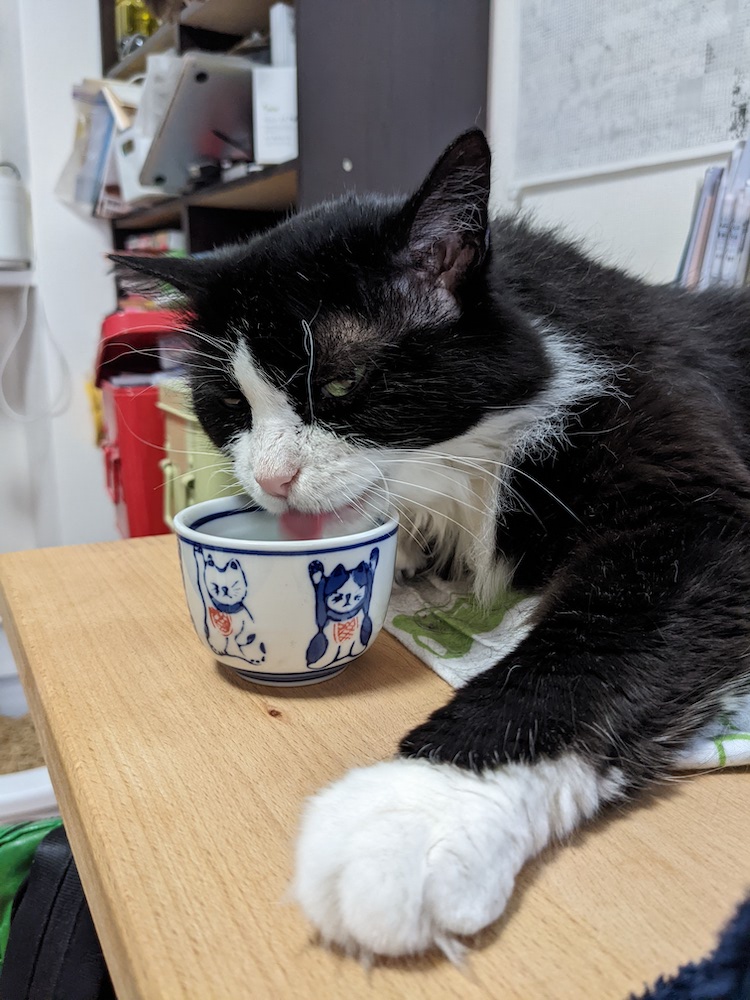 怠惰な姿勢でお水を飲むゆかり