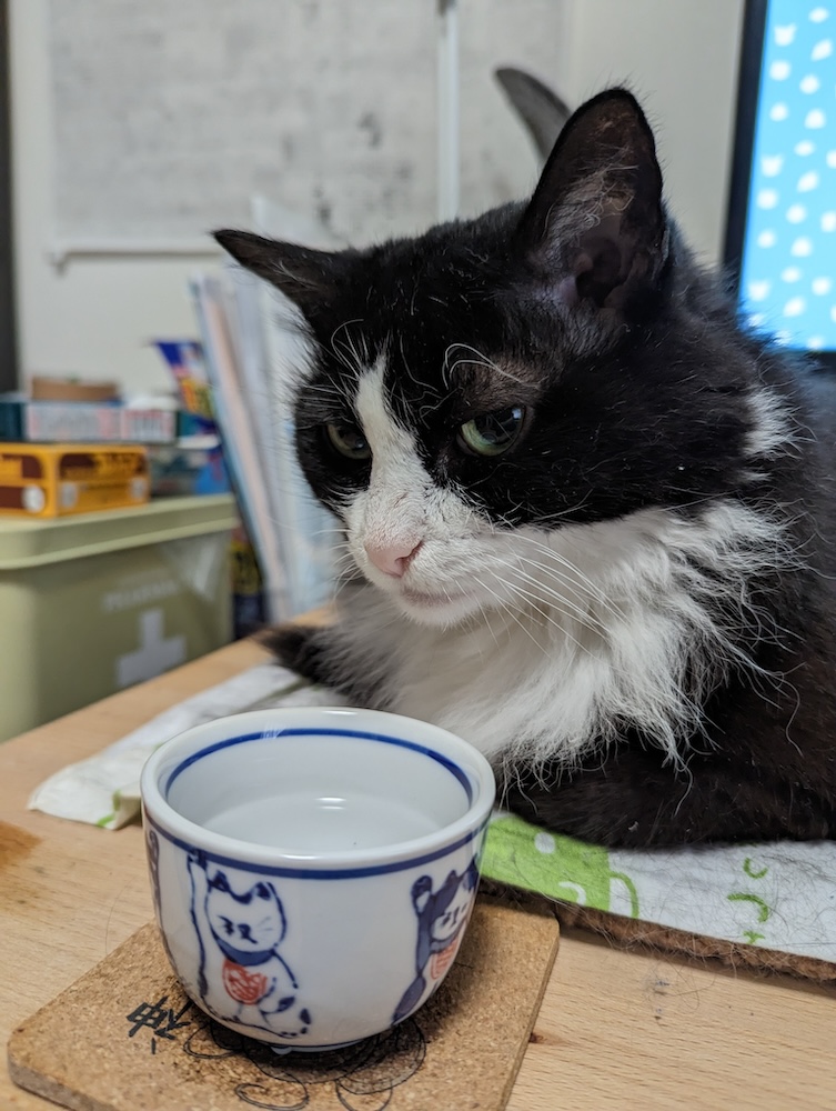 定位置+おちょこスタイルが固まってきたゆかり