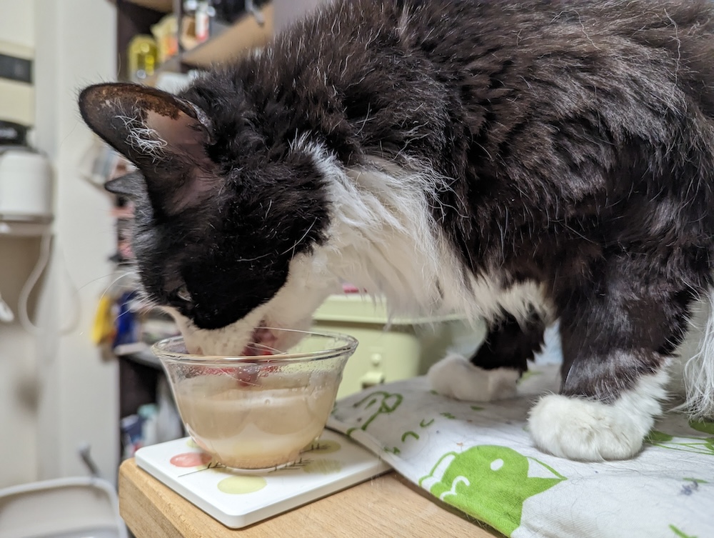 無一物を飲むゆかり