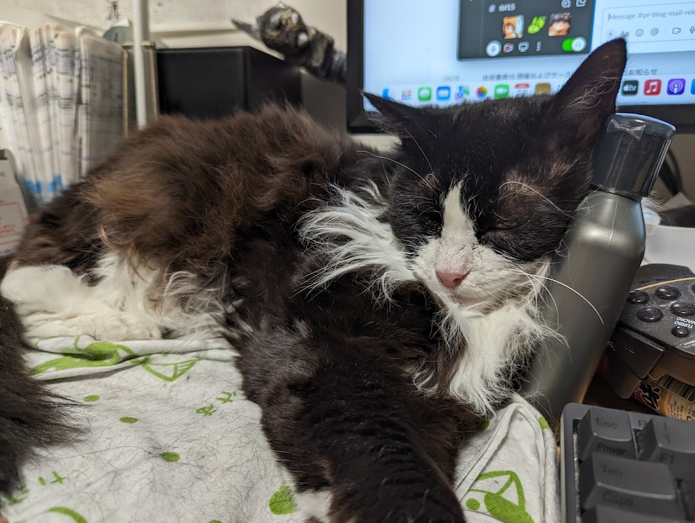 ボトルを枕に眠るゆかり