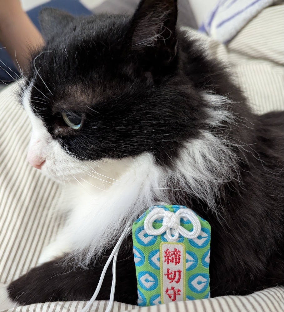 技術書典18のお守りを押し付けられるゆかり