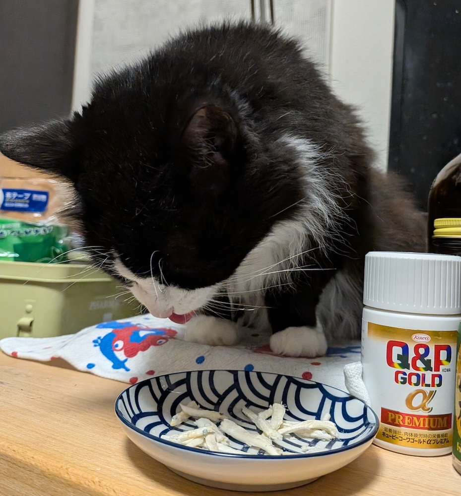 フリーズドライのシラウオをたべるゆかり