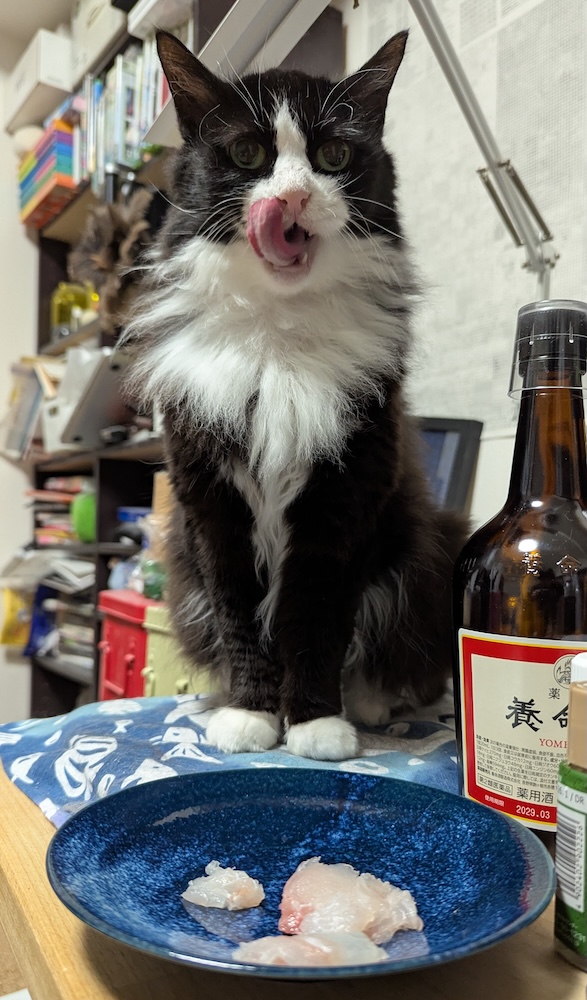 かいぬしが贅沢に鯛を買ったのでご相伴に預かるゆかり